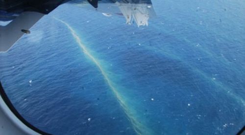 越南頭頓海域發現大量不明碎片漂浮物