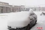 山丹縣5月飛雪 2014年5月