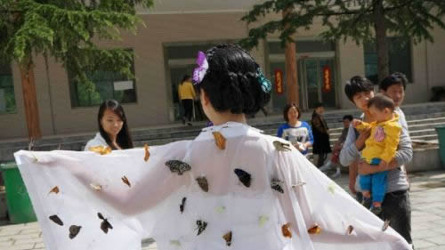 扎死蝴蝶裝扮仙子