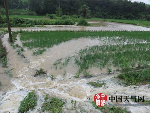 浙江暴雨天氣