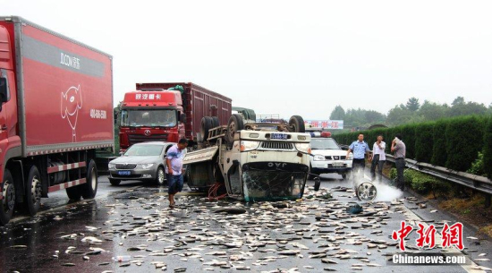 高速上貨車仰翻一車活魚撒滿地