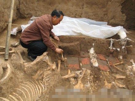 西安財院新校區挖出秦始皇祖母墓穴