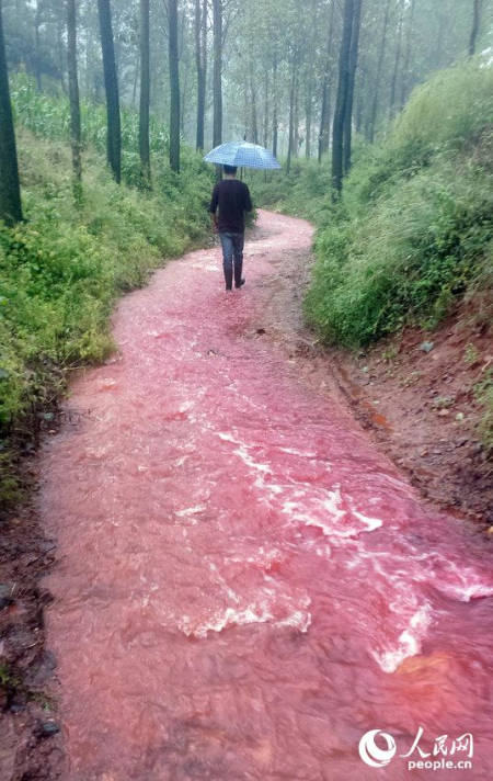 汝陽馬蘭河河水變血水