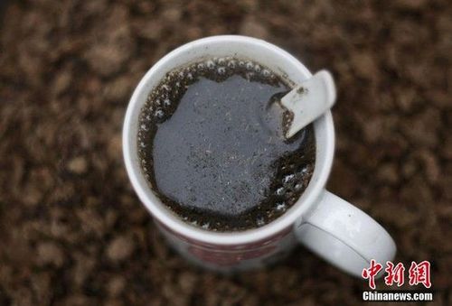 湖南湘潭村民用牛羊糞泡水喝
