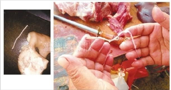 豬肉有鉤蟲(chóng)是謠言