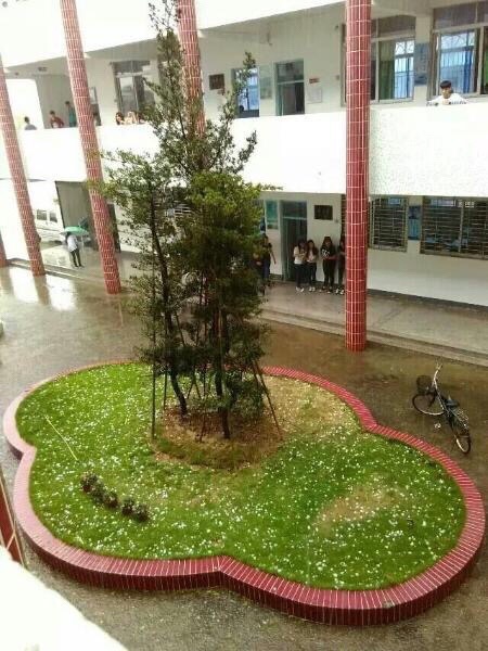 汕頭冰雹