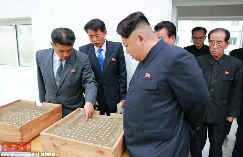 金正恩發飆