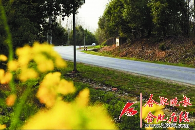 合肥最美鄉村公路
