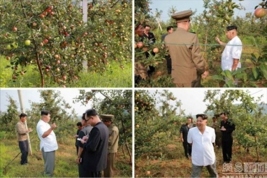 金正恩視察農(nóng)場喜笑顏開
