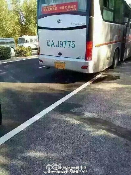 304國(guó)道車(chē)禍