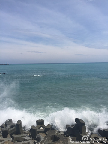 杜鵑登陸臺灣