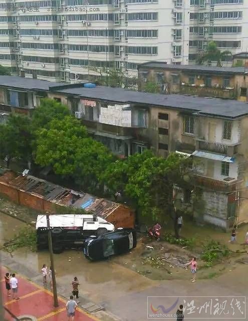 湛江成臺風重災區(qū)
