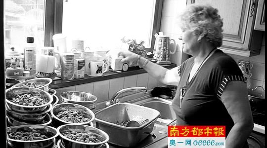 英國夫婦養41條狗