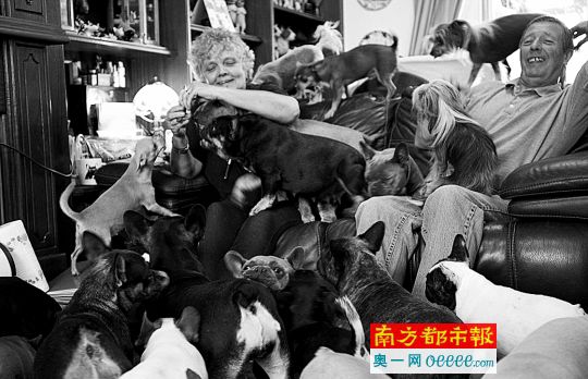 英國夫婦養41條狗