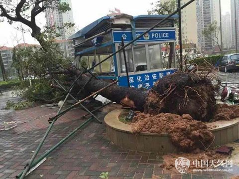 湛江臺風彩虹造成1人死亡16人失蹤