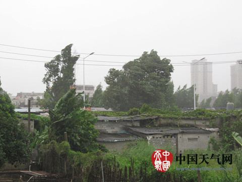臺風彩虹登陸湛江