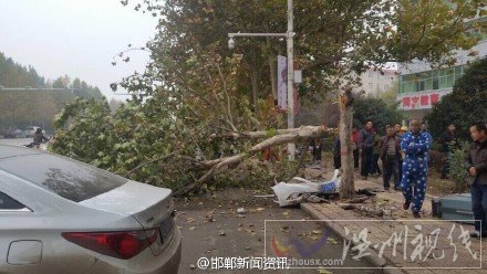 邯鄲車禍現(xiàn)場
