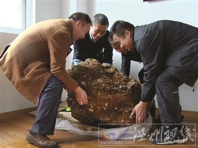 南京市民挖到一個金陵神罐