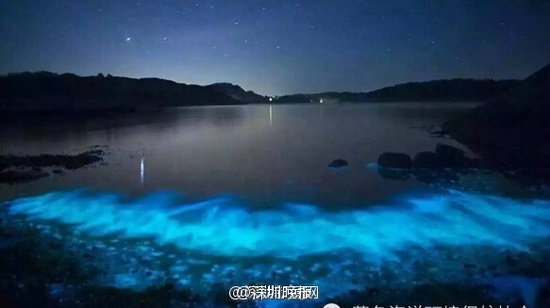 深圳現熒光海