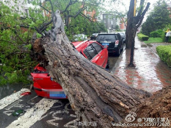 遼寧現強風雨雨量破紀錄風力堪比臺風 明起轉晴