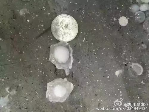 浙江北部遭遇冰雹襲擊 大風壓壞汽車