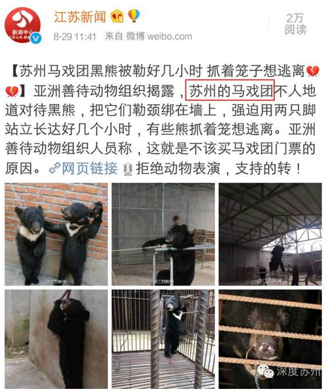 蘇州馬戲團虐熊