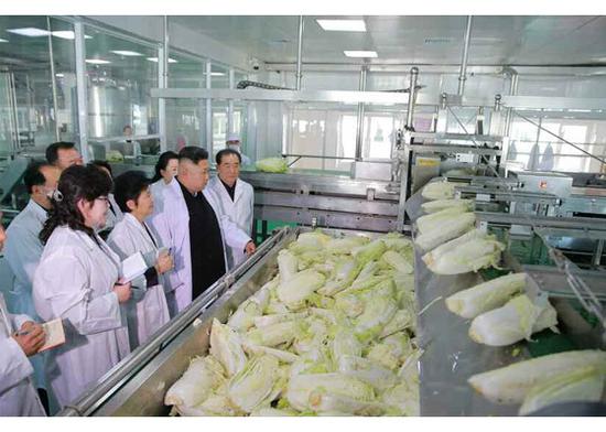 金正恩視察泡菜廠