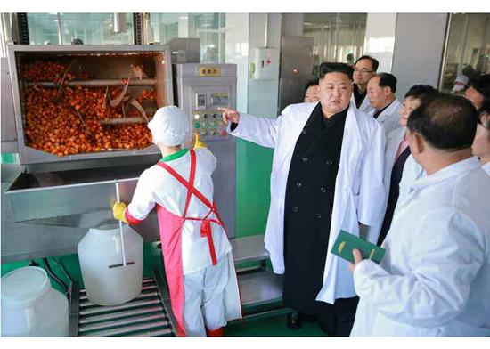 金正恩視察泡菜廠