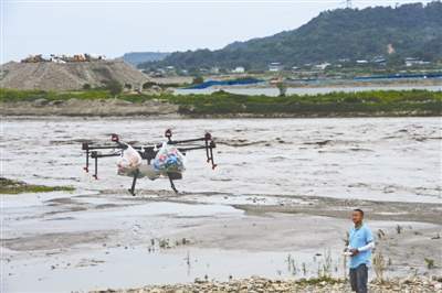 143人被困美麗島
