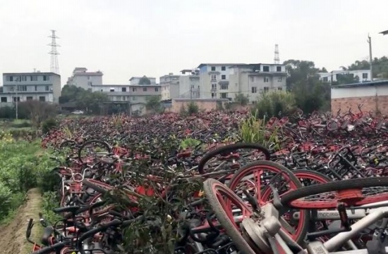 共享單車堆滿農田